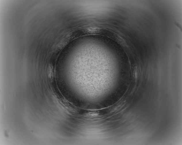 X0000099480651200805231857