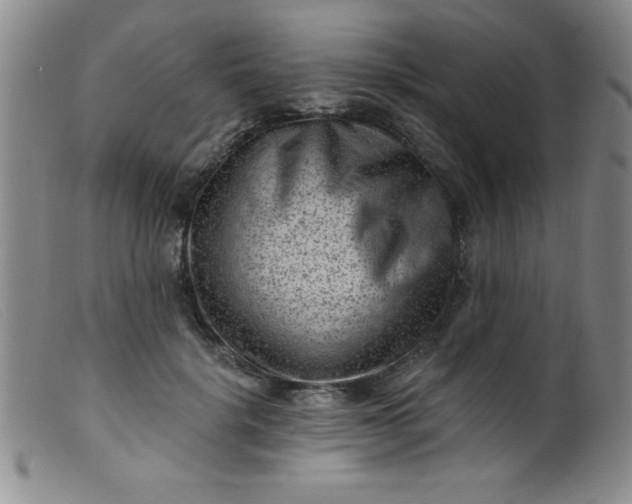 X0000099480652200805231857