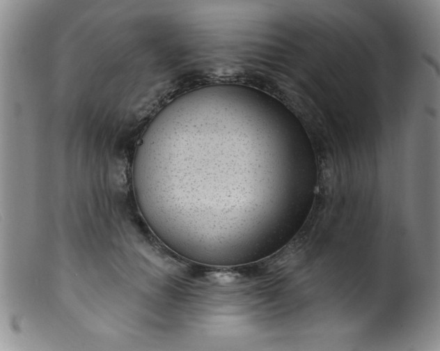 X0000099480654200805231857