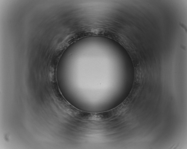 X0000099480656200805231857