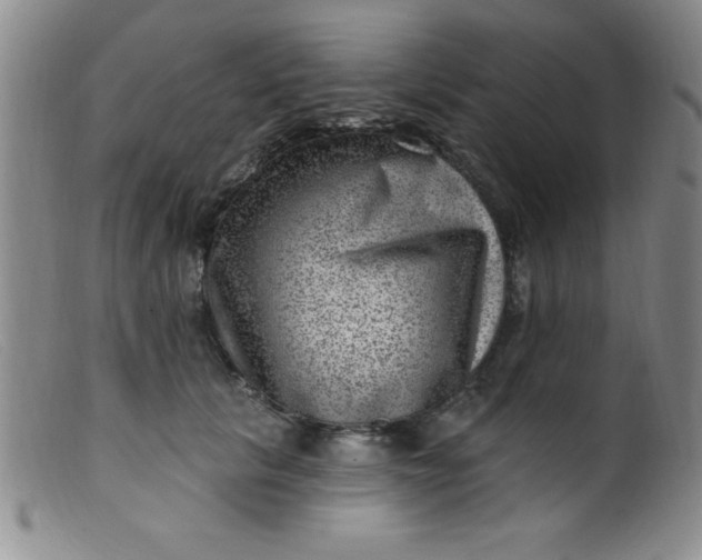 X0000099480657200805231857