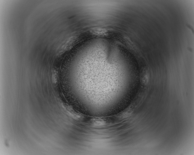 X0000099480658200805231857