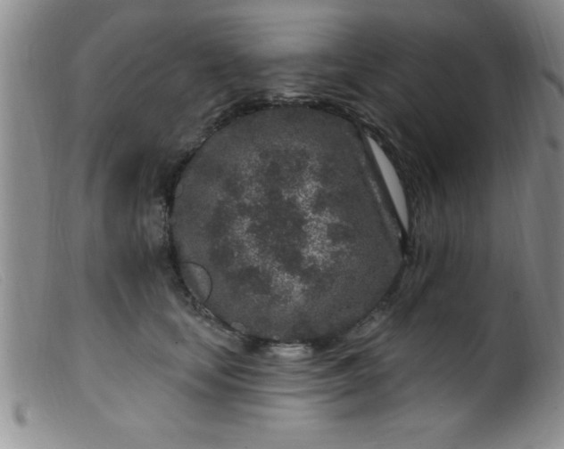 X0000099480659200805231857