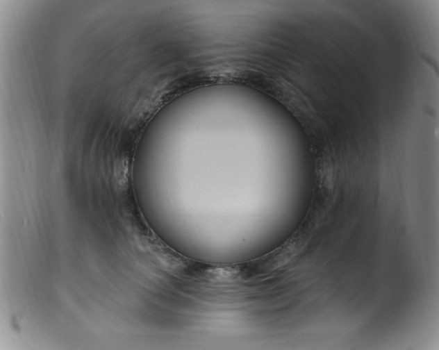 X0000099480660200805231857