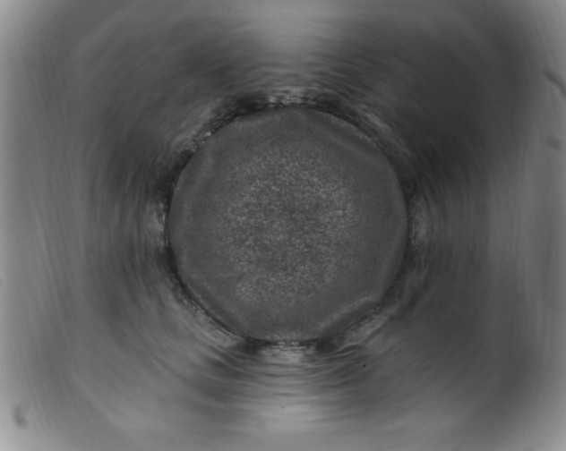 X0000099480661200805231857