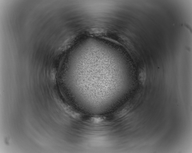 X0000099480662200805231857