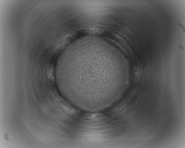 X0000099480663200805231857