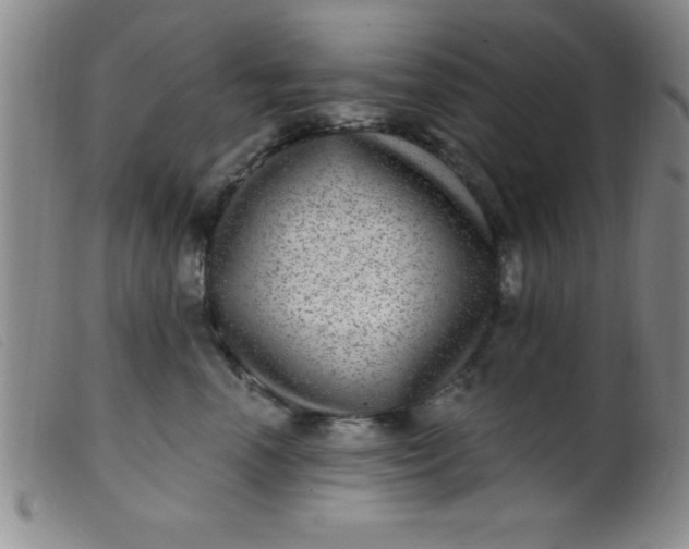 X0000099480666200805231857