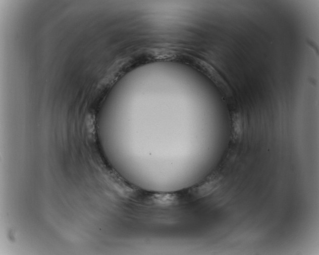 X0000099480667200805231857