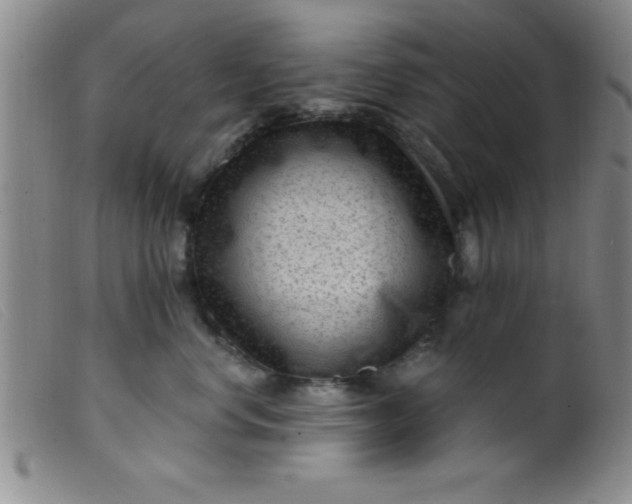 X0000099480668200805231857
