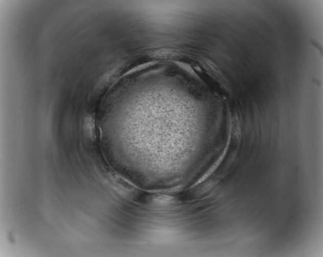 X0000099480669200805231857