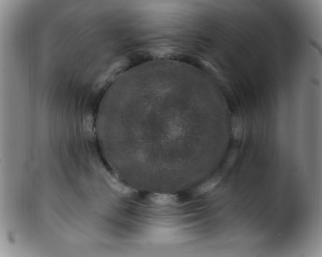 X0000099480670200805231857