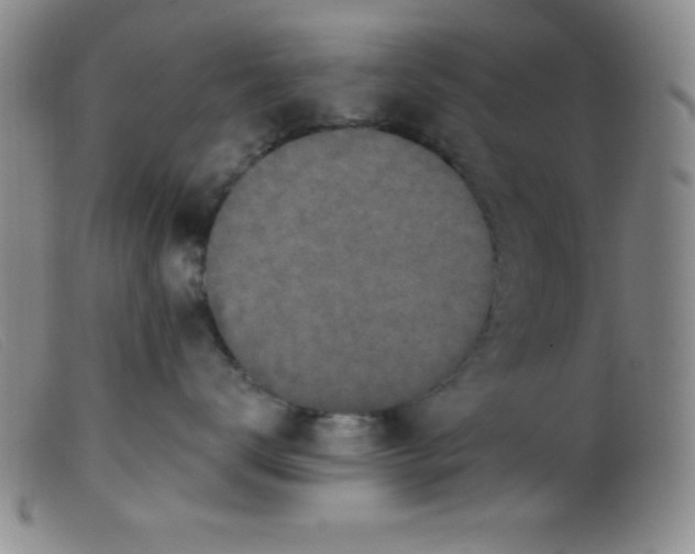 X0000099480672200805231857
