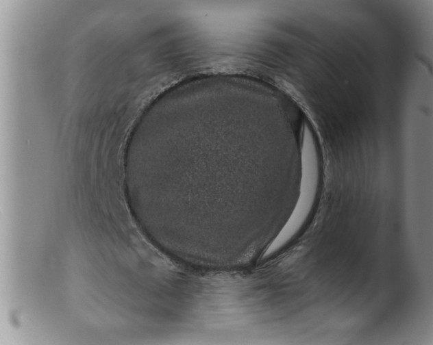 X0000099480673200805231856