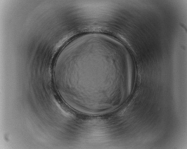 X0000099480674200805231856