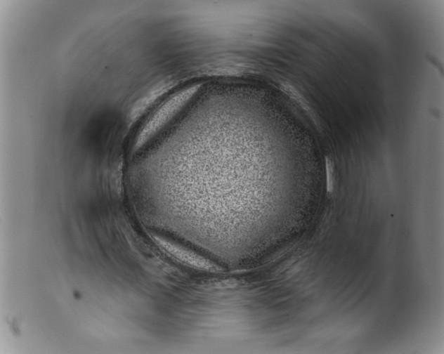 X0000099480675200805231856