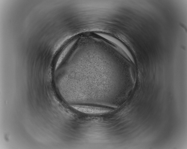 X0000099480676200805231856