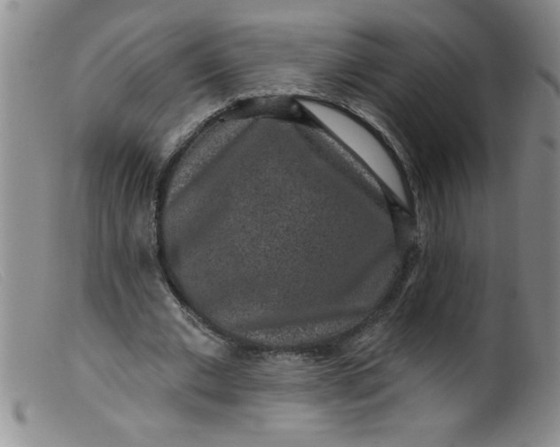 X0000099480677200805231856