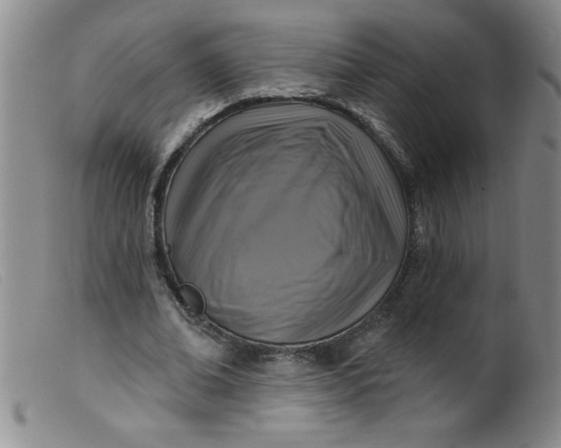 X0000099480678200805231856