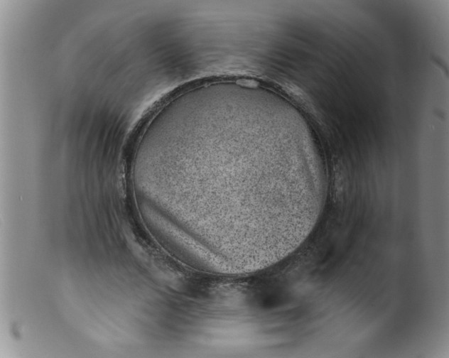 X0000099480680200805231856