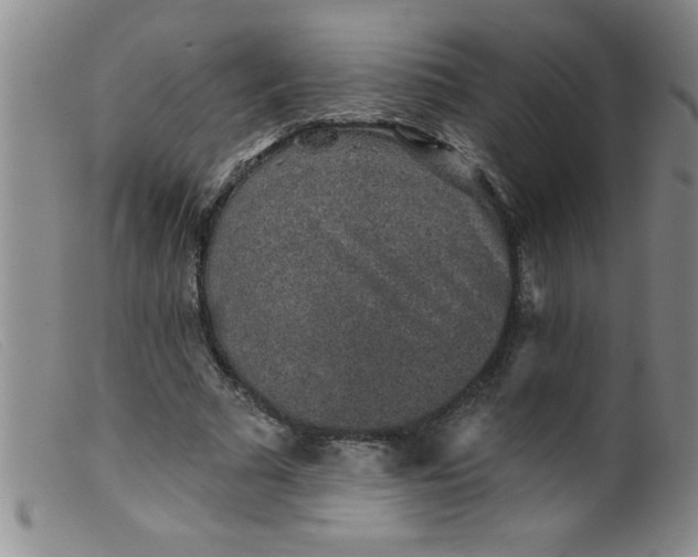 X0000099480681200805231856