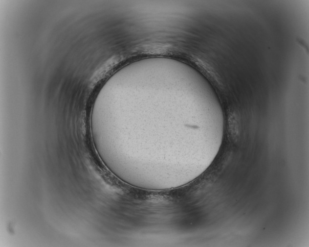 X0000099480682200805231856