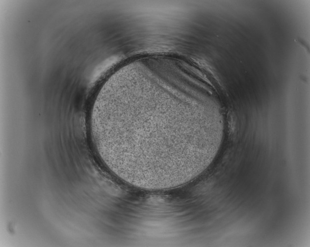 X0000099480684200805231856