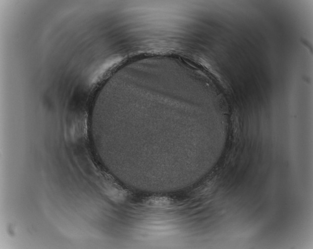 X0000099480685200805231856