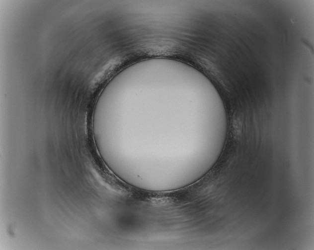 X0000099480686200805231856