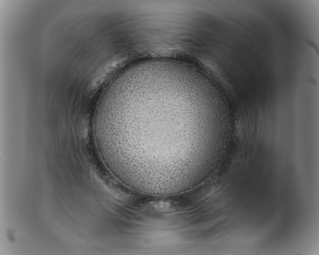 X0000099480687200805231856