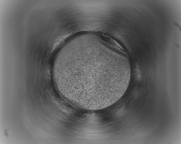 X0000099480688200805231856
