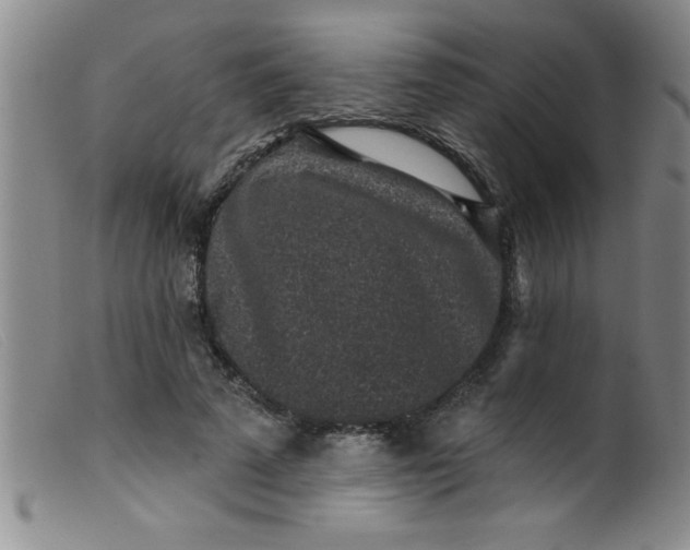 X0000099480689200805231856