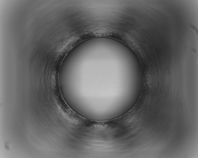 X0000099480690200805231856