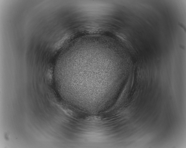 X0000099480691200805231856