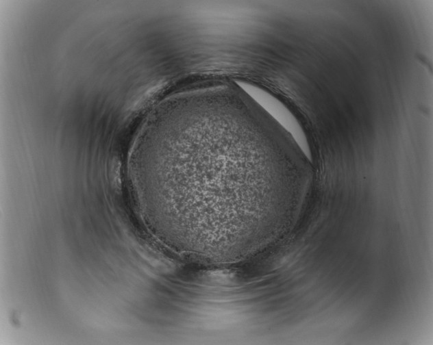 X0000099480692200805231856