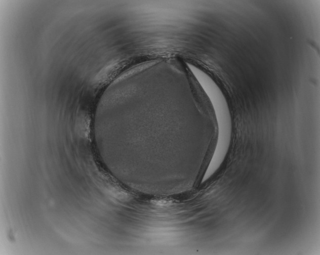 X0000099480693200805231856