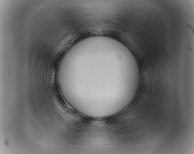 X0000099480694200805231856