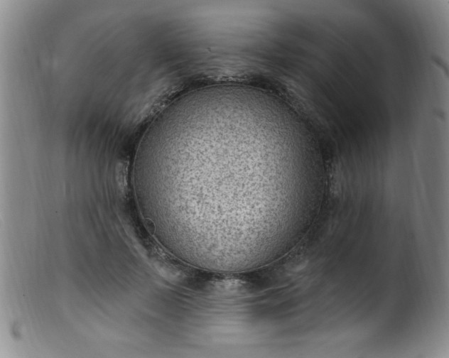 X0000099480695200805231856