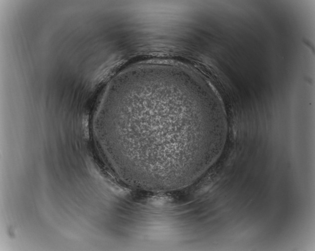 X0000099480696200805231856