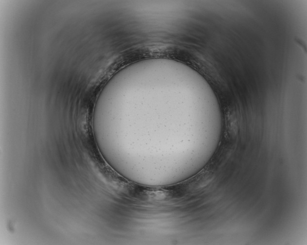 X0000099480698200805231856
