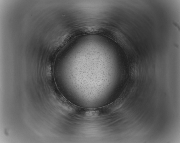X0000099480700200805231856