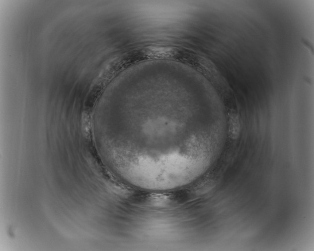 X0000099480701200805231856
