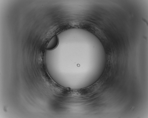 X0000099480702200805231856