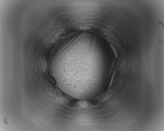 X0000099480704200805231856