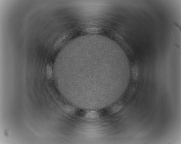 X0000099480705200805231856