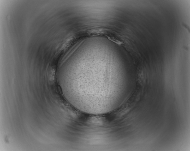X0000099480708200805231855