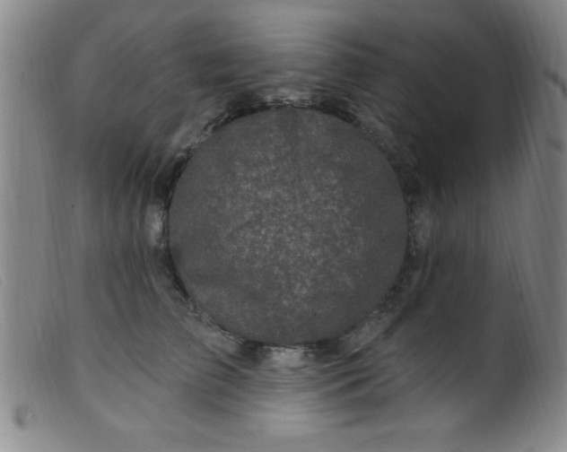 X0000099480709200805231855