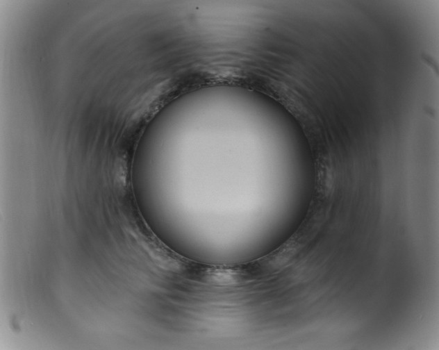 X0000099480710200805231855