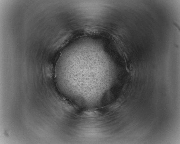 X0000099480712200805231855