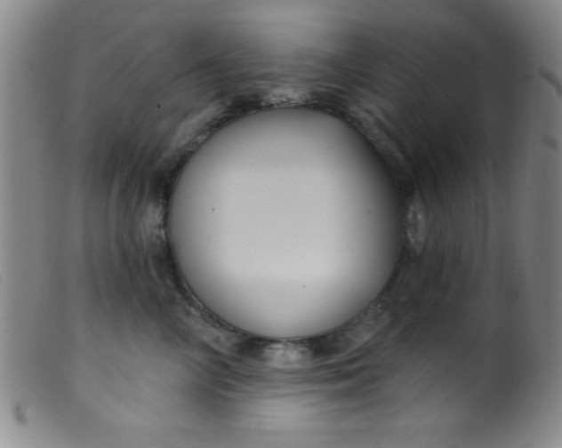 X0000099480714200805231855